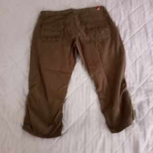 Free With Purchase Dish plus size capris